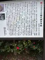 国分寺(富山県)