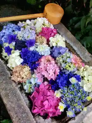 本郷氷川神社(東京都)