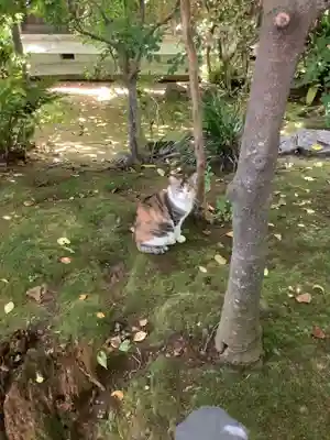 牟呂八幡宮(愛知県)