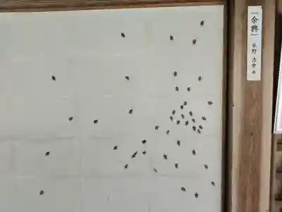 法然院(京都府)