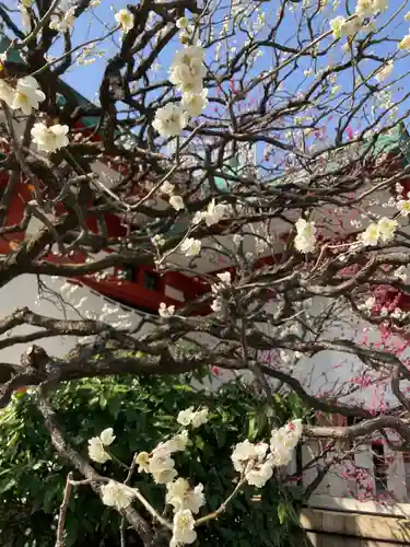 日枝神社の自然