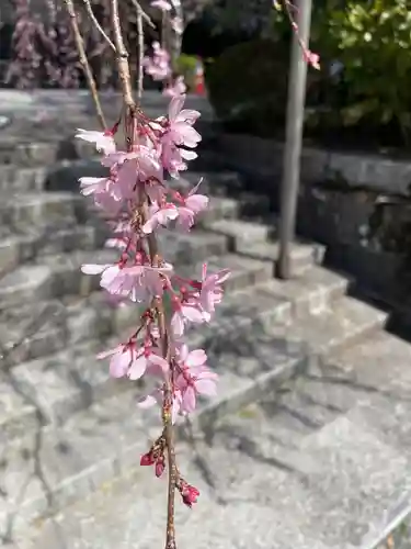久遠寺(山梨県)