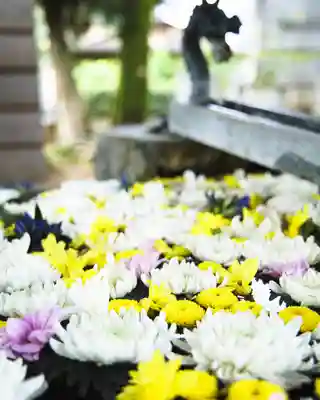 上野総社神社(群馬県)