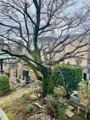 清源寺(東京都)