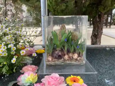 三津厳島神社の手水舎