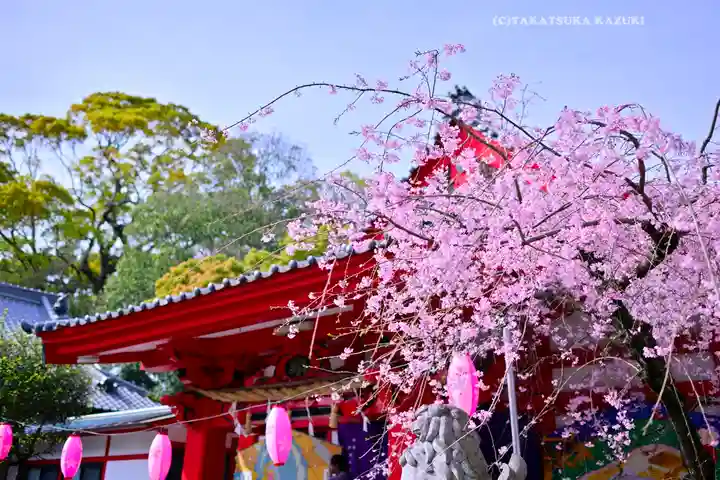 米之宮浅間神社(静岡県)