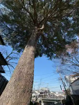 見立寺の{uncategorized: "未分類", other: "その他", undefined: "問題あり", building: "その他建物", grave: "お墓", sacred_gate: "鳥居", guardian: "狛犬", statue: "像", buddha: "仏像", history: "歴史", nature: "自然", garden: "庭園", animal: "動物", pagoda: "塔", temizu: "手水舎", mountain_gate: "山門・神門", sanctuary: "本殿・本堂", subordinate: "末社・摂社", art: "芸術", scenery: "景色", jizo: "地蔵", ema: "絵馬", goshuin: "御朱印", omikuji: "おみくじ", items: "授与品その他", amulet: "お守り", goshuincho: "御朱印帳", eats: "食事", festival: "お祭り", votive_dance: "神楽", shichigosan: "七五三参", wedding: "結婚式", experience: "体験その他", initially: "初詣", around: "周辺", anti_infection: "感染症対策"}