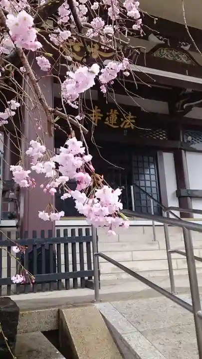 法蓮寺(東京都)