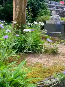 国上寺(新潟県)(2025年07月04日(金) 08時53分33秒投稿)