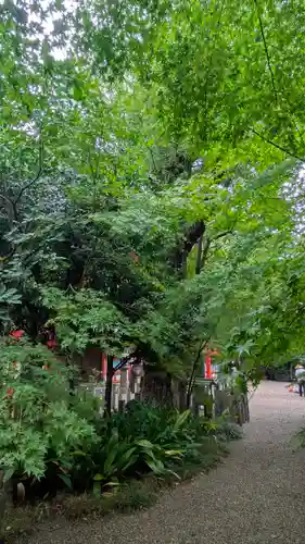 杭全神社(大阪府)