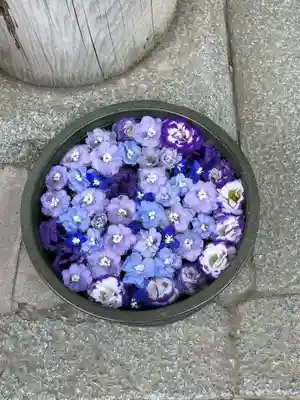 山﨑八幡宮の芸術