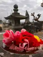 真言宗 善通寺派 薬王寺(香川県)