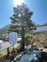 出釋迦寺(香川県)