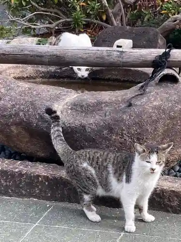 荘厳浄土寺の手水