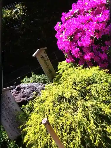 須賀神社（成宗）(東京都)