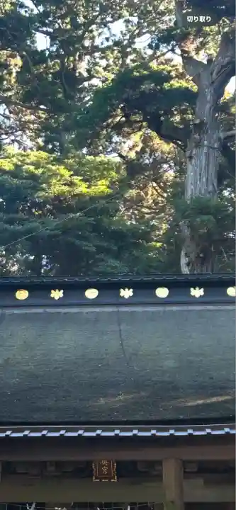 鹿島神宮(茨城県)