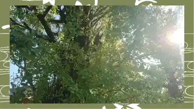 飛木稲荷神社(東京都)