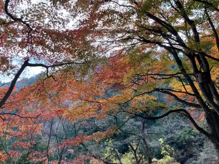武蔵御嶽神社(東京都)