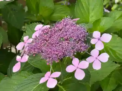 平塚八幡宮(神奈川県)