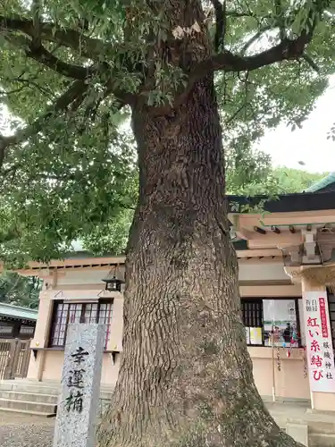 服織神社（真清田神社境内社）(愛知県)