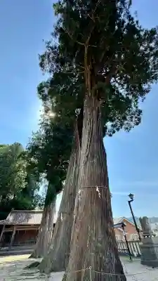 清神社(広島県)