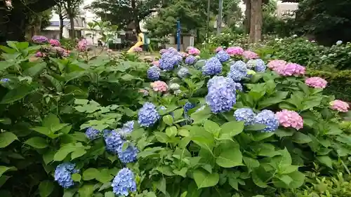 白山神社の庭園