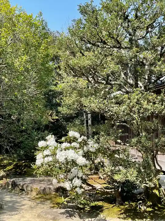詩仙堂(丈山寺)の自然