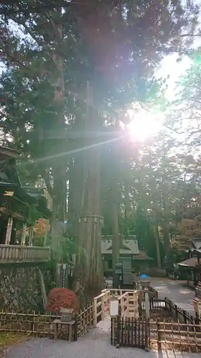 三峯神社のその他建物