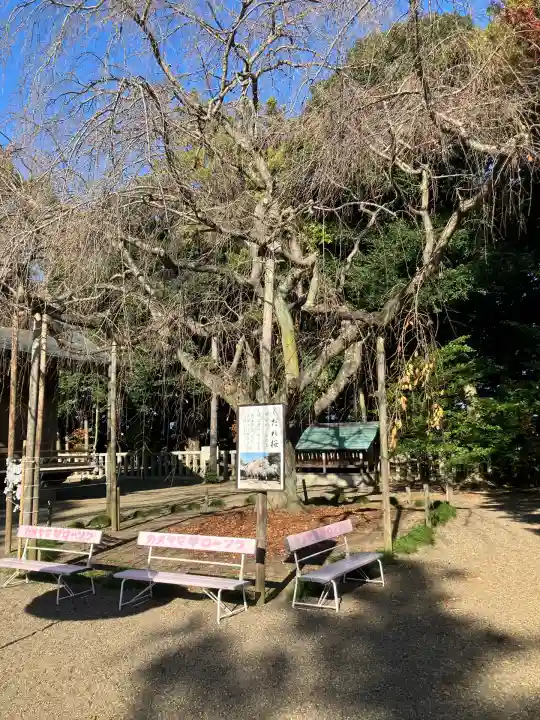 常陸第三宮 吉田神社(茨城県)