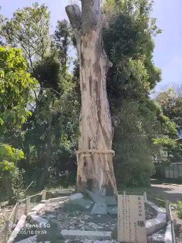 鹿嶋神社の自然