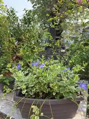 谷中 妙福寺(東京都)