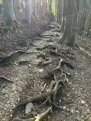 三峯神社奥宮(埼玉県)