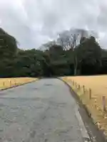 明治神宮(東京都)