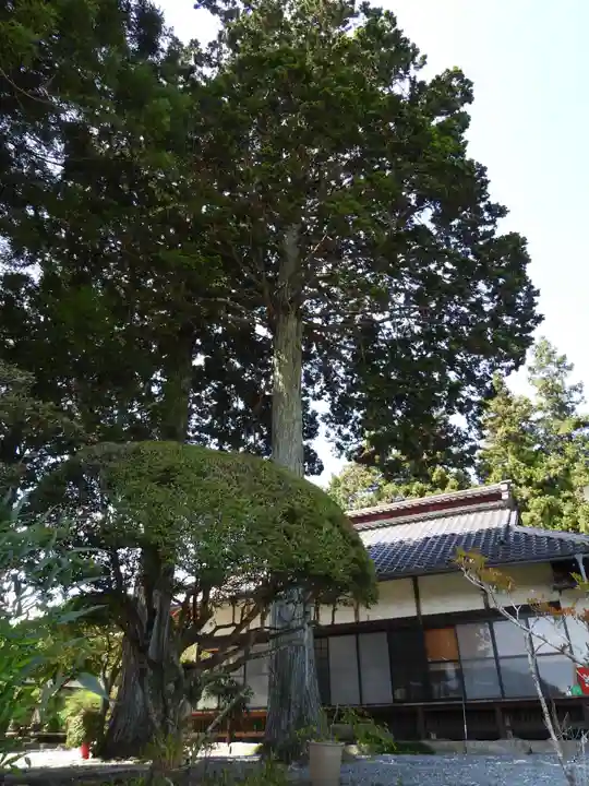 西林寺(長野県)