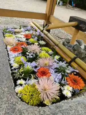 城南神社の手水舎