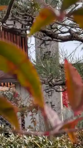 石居廃寺跡(滋賀県)