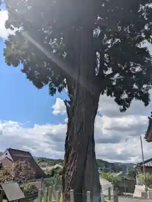 薬師寺(三重県)