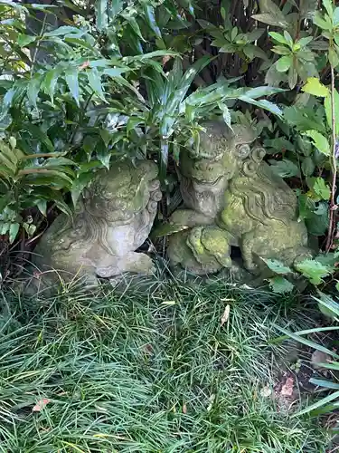 根岸八幡神社の狛犬