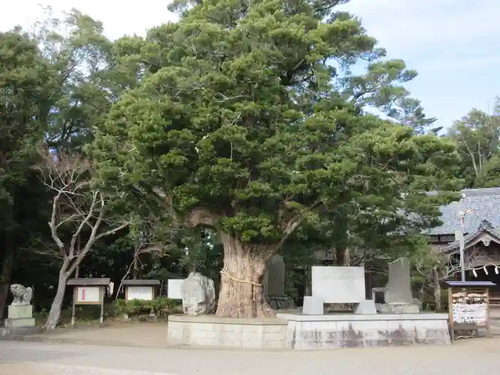 鶴谷八幡宮のその他建物