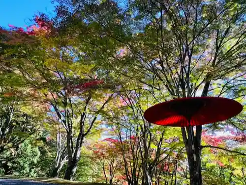 土津神社｜こどもと出世の神さまの景色