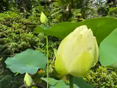 伊勢の国 四天王寺(三重県)