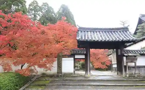 酬恩庵一休寺(京都府)