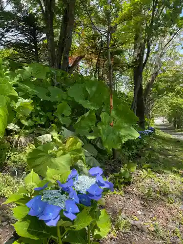 釧路一之宮 厳島神社の自然
