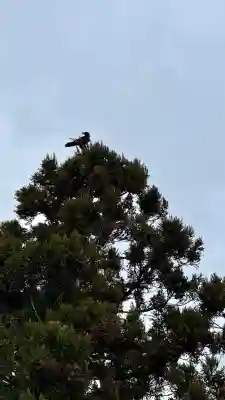 谷好稲荷神社(北海道)