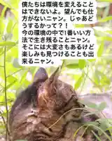 専念寺(大阪府)