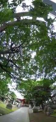戸部杉山神社(神奈川県)