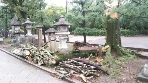 北野天満宮の自然