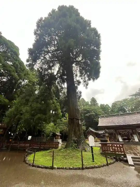 狭野神社(宮崎県)