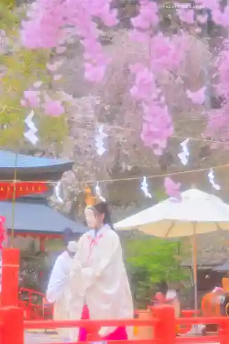 金櫻神社(山梨県)