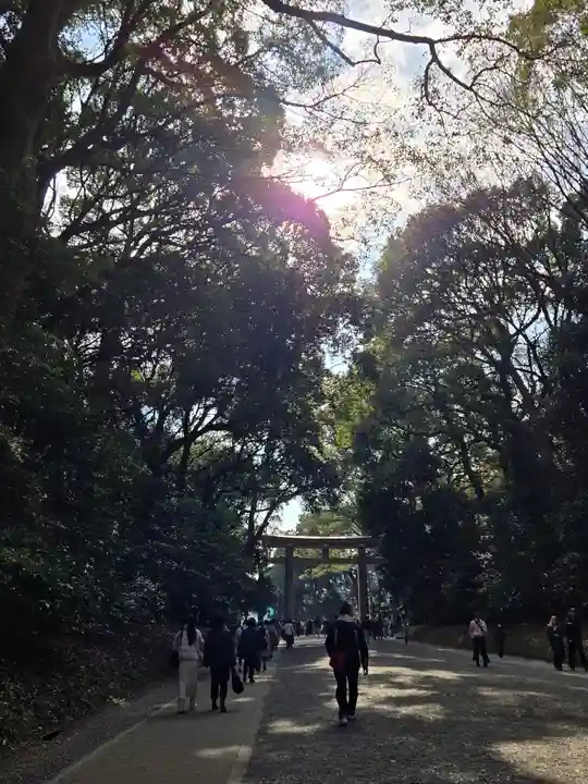 明治神宮(東京都)